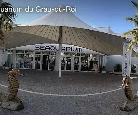 Vue Sur Du Roi Le Grau-du-Roi