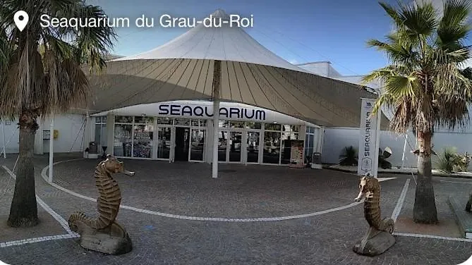 Vue Sur Du Roi Le Grau-du-Roi